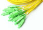 Low Insertion Loss  Pre Terminated Multi Fiber Cables Single Mode 12 Core SC APC To SC UPC